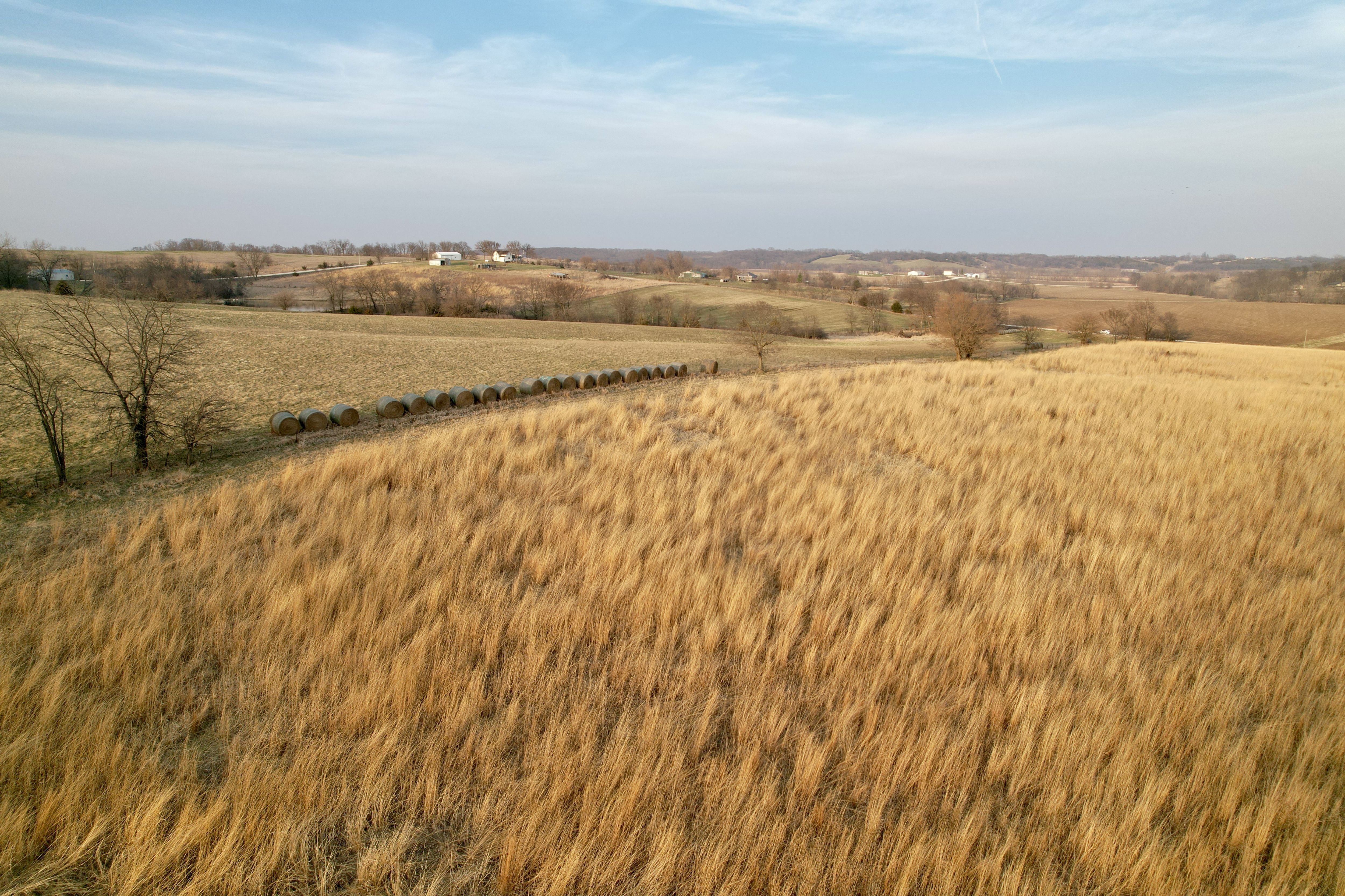 Listing Photo: Photo Mar 25 2026, 6 46 48 PM